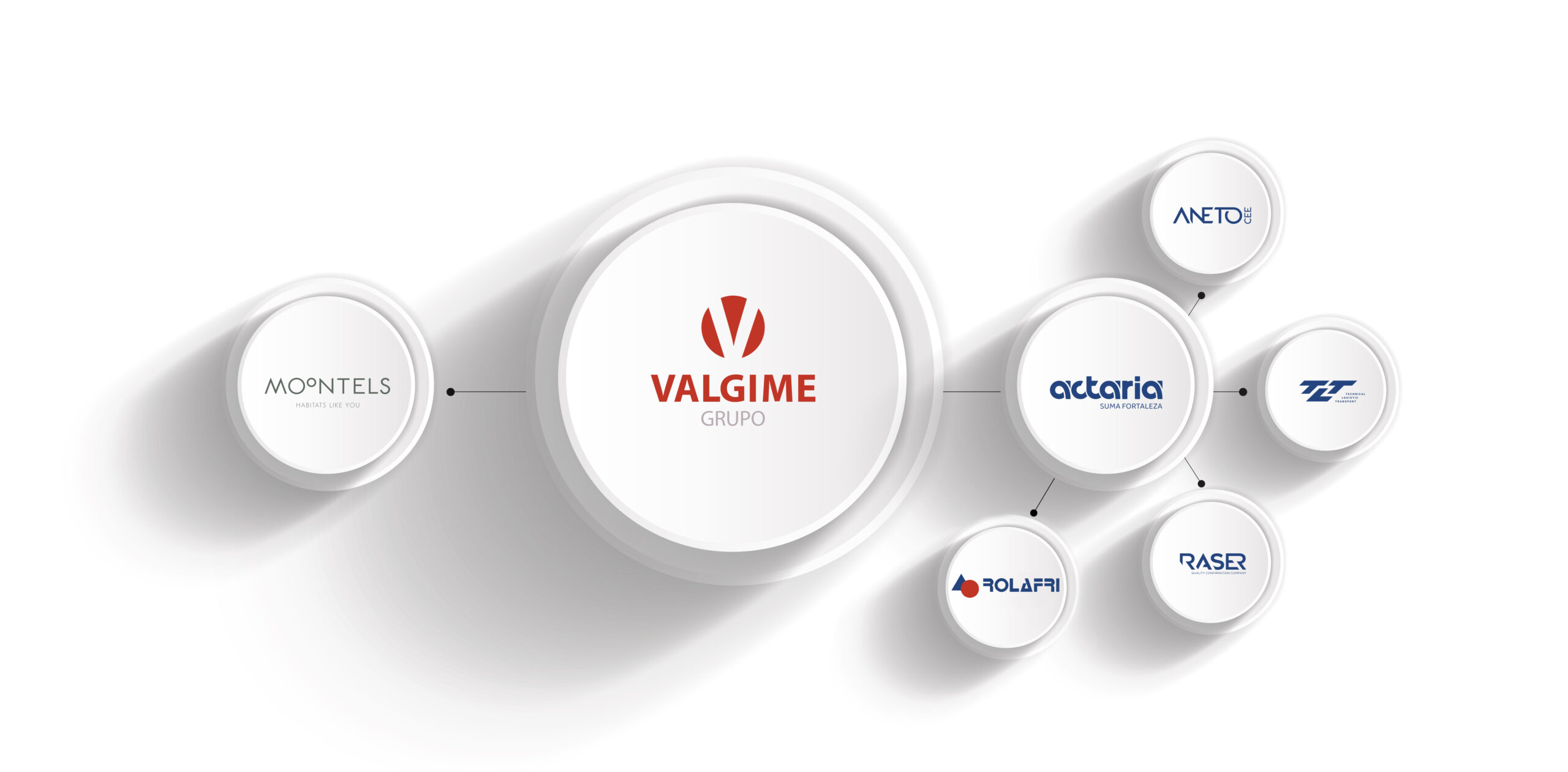 Grupo Valgime y empresas del grupo